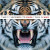 Thirty Seconds To Mars • This Is War (2LP)