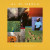 Al Di Meola • World Sinfonia