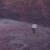 Absorver • Unsaid Ideas (LP-EP)