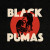 Black Pumas • Black Pumas (LP)