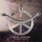 Carcass