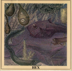 Hex • Hex