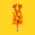 James • Yummy (LP)