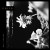 Jinjer • Wallflowers