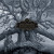 Mastodon • Hushed And Grim (2CD)