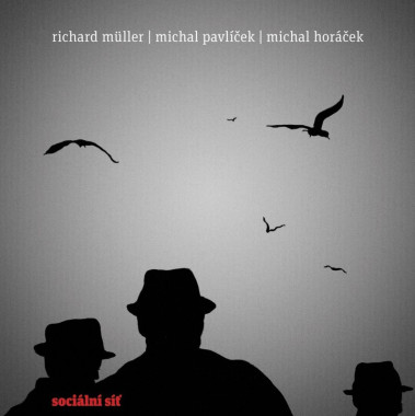 Müller Richard • Sociální síť (LP)