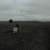 Nf • The Search (2LP)