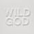 Nick Cave & The Bad Seeds • Wild God /  Limited Edition Clear (LP)