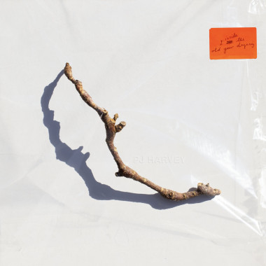 Pj Harvey • I Inside The Old Year Dying