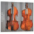 Pala Milan • Violin