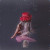 Tolstoys • Mirror Me
