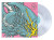 Twenty One Pilots • Scaled And Icy / Indie (LP)