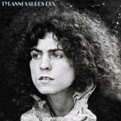 Tyrannosaurus Rex • A Beard Of Stars (2LP)