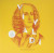 Antonio Vivaldi • The Masterpieces Of (LP)