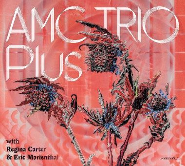 AMC Trio • Plus 