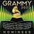Výber • 2020 Grammy Nominees