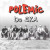 Polemic • Do SKA